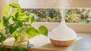 Must-have für zu Hause: Aroma Diffuser für deine Wohlfühloase