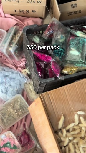 Affordable Dried Flowers Available