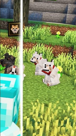 Best Resource Packs Minecraft Java 1.21 #minecraft #minecraftresourcepack