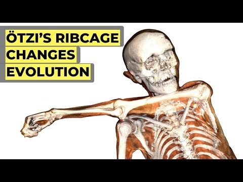 Study on Ötzi the Iceman's Ribcage Just Changed Human Evolution Forever
