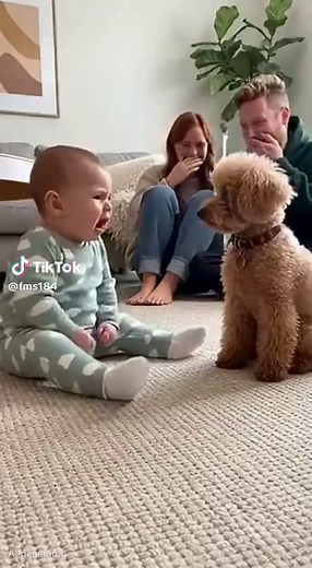 Bebe et son chien : une situation hilarante !