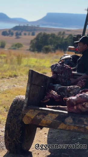 16M views · 274K reactions | Lion Dream Team! Shout out to our guys,...