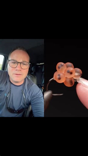 A little fly tying “asmr” with She Ties Flies! | Tim Cammisa