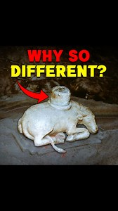 The Most Mysterious Lingam Ever Found? #praveenmohan #ancient #lingam #secret #symbol #yoni #history #mystery #temple #templeshorts #advanced #technology #shiva #lordshiva #ytshorts #ancientindia #ancienttechnology #carvings #shortsfeed #shortsvideo #ancienthistory #statue #fbreels #fbviral #trendingreels #viralreels | Praveen Mohan