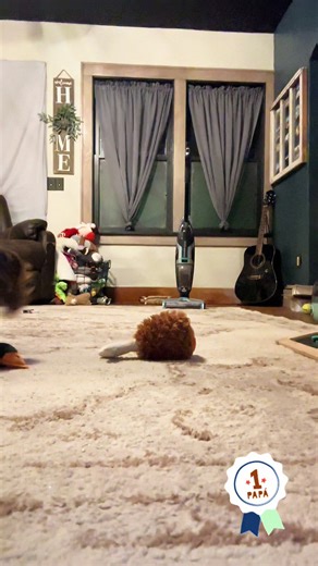 Labradoodle's Best Toys for Happy Playtime