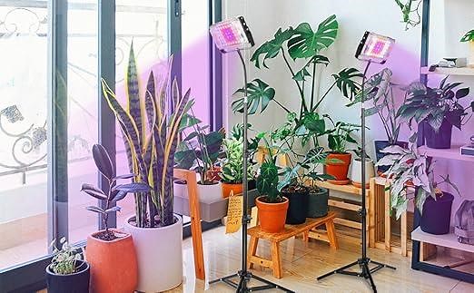 SUNICO Standing Grow Light for Indoor Plants