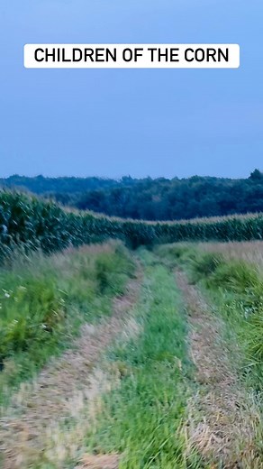 Over the hill and through the woods to Apple Valley Farms we go! See you all July 26-27, 2025. | Apple Valley Farms Off-Road Park