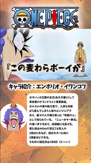 [ワンピース] ルフィの父ちゃんを知ったイワンコフ