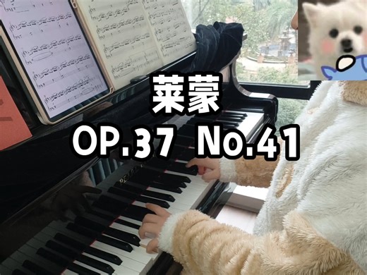莱蒙 OP.37 No.41
