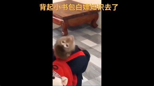 白嫖的知识--autoware的Demo运行