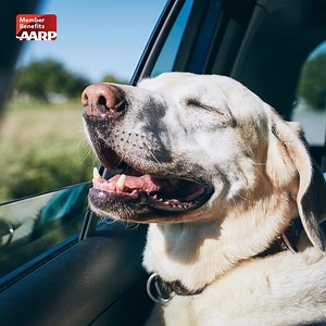 Pack your bags for a relaxing stay at Motel 6. Members enjoy a 10% discount off the best available rate and the option to request a late checkout until 2 p.m. Plus, pets stay for free. Learn more: http://spr.ly/61854lD7S | AARP Member Benefits
