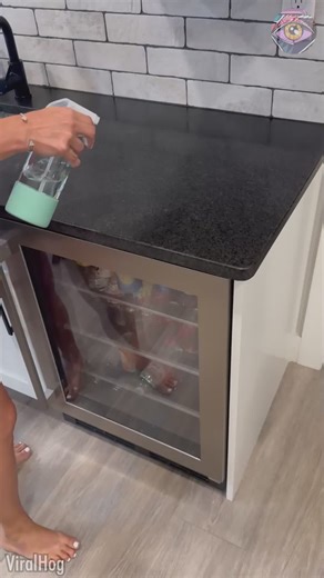 My silly parrot mimics spray bottle | Bright Side