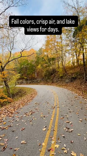 If you’ve been to the Lake House on Dale Hollow, you know the final mile—our winding country road that curves through the trees before ending at the lake’s edge. 🍂 It’s a heart-pumping walk uphill, but in fall, it’s pure gold. Crisp air, fiery leaves, and lake views that stop you in your tracks. Come take the climb with us—you’ll see why we never get tired of this view, or the rewarding finish back at the lake house. 🌄 #DaleHollowLake #FallAtTheLake #CountryRoads #LakeHouseVibes” #DaleHollowLa