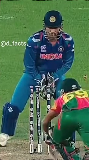 Why do they use STUMP MICS❓🤯 #facts #dailyfacts #shortsfeed #shorts #amazingfacts #ipl #cricket