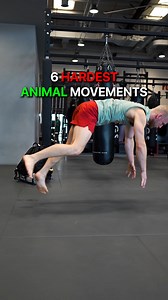 2.8M views · 18K reactions | 6 Hardest Animal Movements (NOT FOR BEGINNERS!) | VAHVA Fitness | Facebook