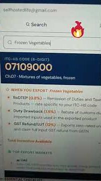 I Found the Ultimate AI Tool for Indian Exporters 🤖#hsncode #exportimport