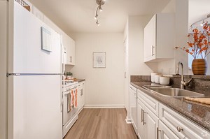 Apartments for Rent in Greenwich CT - 470 Rentals | Apartments.com