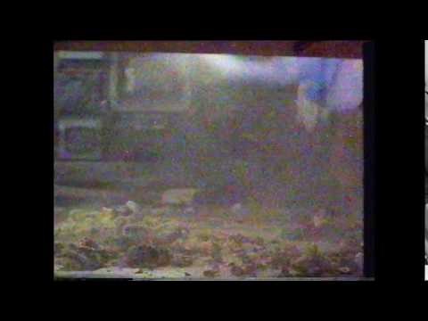 Casper Trailer (1995)