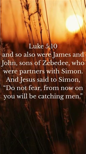 Luke 5 - Two Verses