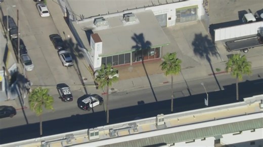 Man shot dead inside car in Palms area