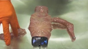 Presenting Oscar, The Modular Body