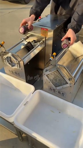 vegetable cutter #foodmachinery #food #machine #vegetablecutting