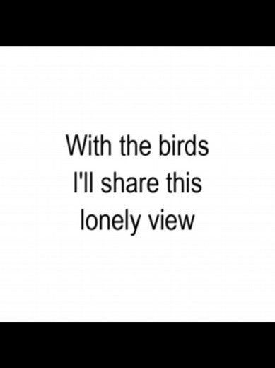 scar tissue by red hot chili peppers #redhotchilipeppers #scartissue #lyrics #songs #audios #music #bratlyrics #songlyrics #fyp