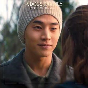 A Dog’s Journey - Park Scene