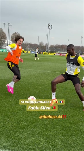 Fabio SILVA 🇵🇹 ,GUIRASSY 🇬🇳🇫🇷 BVB TRAINING Vor dem Hamburg Spiel Samstag #timlucadortmund #timbvb09 #guirassy #fabiosilva #guineenne224🇬🇳