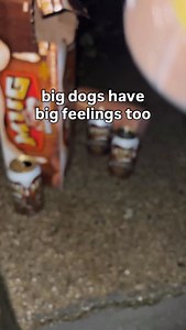 whatever ur feelin, jus let it out dog ❤️‍🩹 | Mug Root Beer