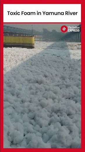 Toxic Foam Spotted in Delhi's Yamuna River: A Serious Health Hazard