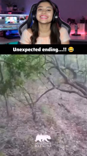 Shadow Reacts | Try not to laugh challenge 😂 832 #theshadowreacts #funny #comedy | Instagram