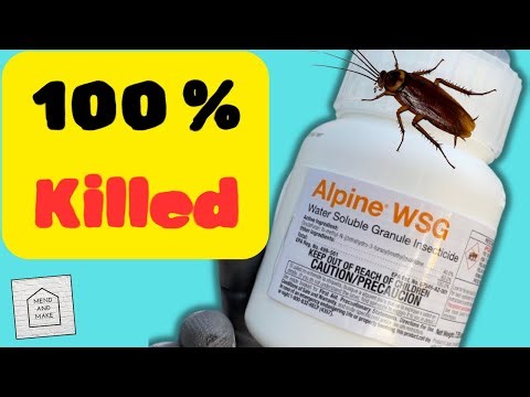 How to get rid of roaches with Alpine WSG.