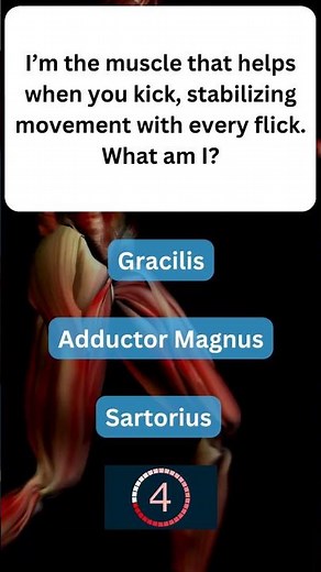 Fun Fact About Your Muscles You Won’t Believe! 💪 #MuscularSystem 50