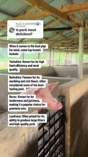 Top Pig Breeds for Meat: Your Culinary Guide