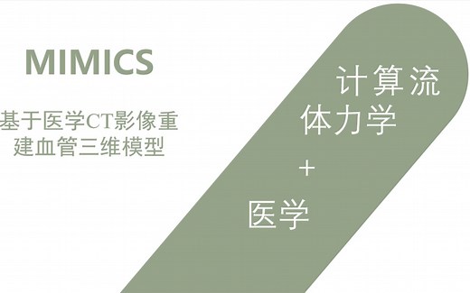 血管模型三维重建：MIMICS 3D SLICER