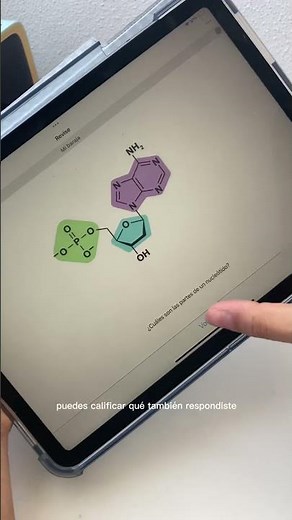App para hacer flashcards digitales 🙌