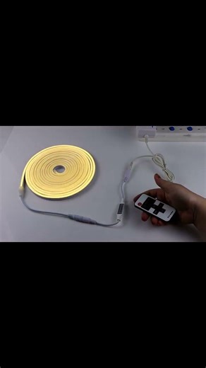 DC12V Neon Light LED Strip with RF Remote Control SMD 2835 120LEDs/M Flexible Rope Tube as Decor