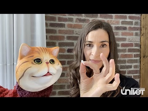 Comment administrer un médicament à un chat