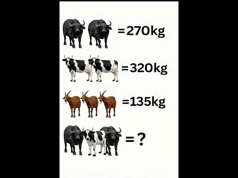 brain test teaser 99% fails