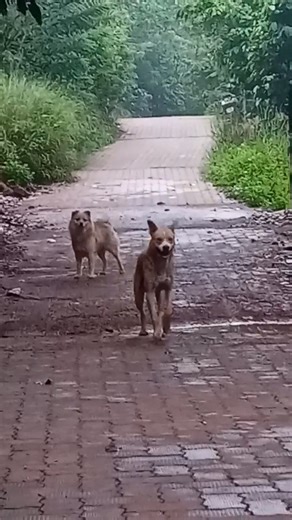 அப்டி என்ன நா தப்பா சொல்லிப்புட்டேன்னு...