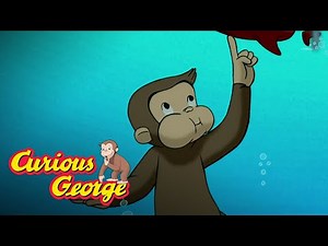 So many Boats! 🐵 Curious George 🐵Kids Cartoon 🐵 Kids Movies 🐵Videos for Kids