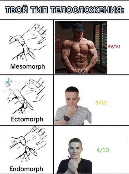 Body Type Recommendations and Sport Workouts by @KYRZA