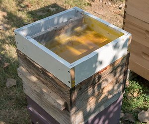 No Drowning, Hive-Top Feeder
