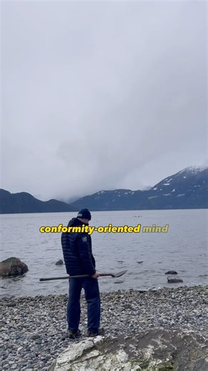 Permission to play: a lesson from the sea lions