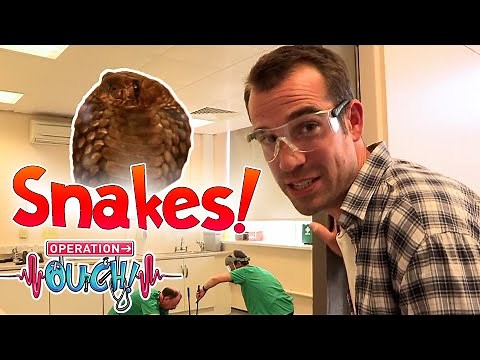Scary Snake Bites! 🐍 | Science for Kids | Operation Ouch
