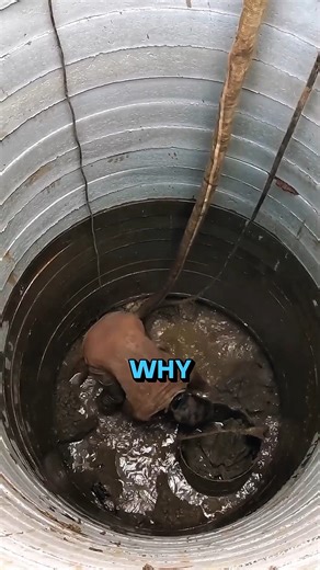 Why Laborers Still Dig By Hand #short #shorts