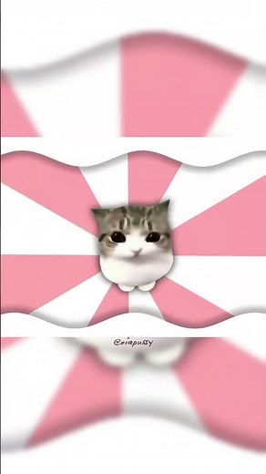 Nyan Cat Or Meowpin Cat - Animation