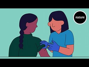 Vaccines 101: How vaccines work • Video • MEDtube.net