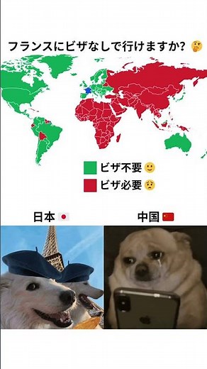 フランス入国にビザが必要な国とは🌎 #旅行 #フランス #ビザ #観光